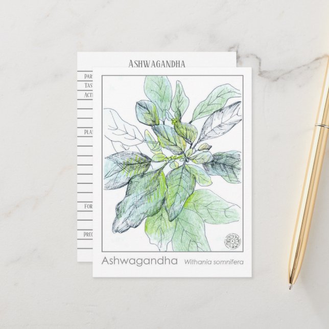 Ashwagandha Materia Medica Herbal Study Card (Front/Back In Situ)