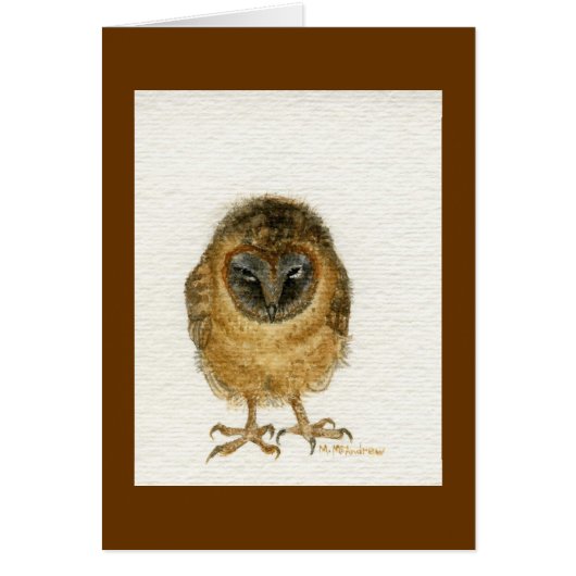 "Ashy Faced Barn Owl" Cards (Front)