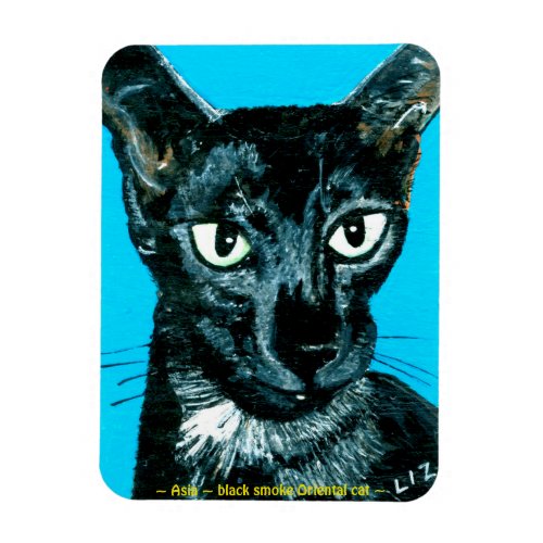 Asia  black smoke Oriental cat  Magnet