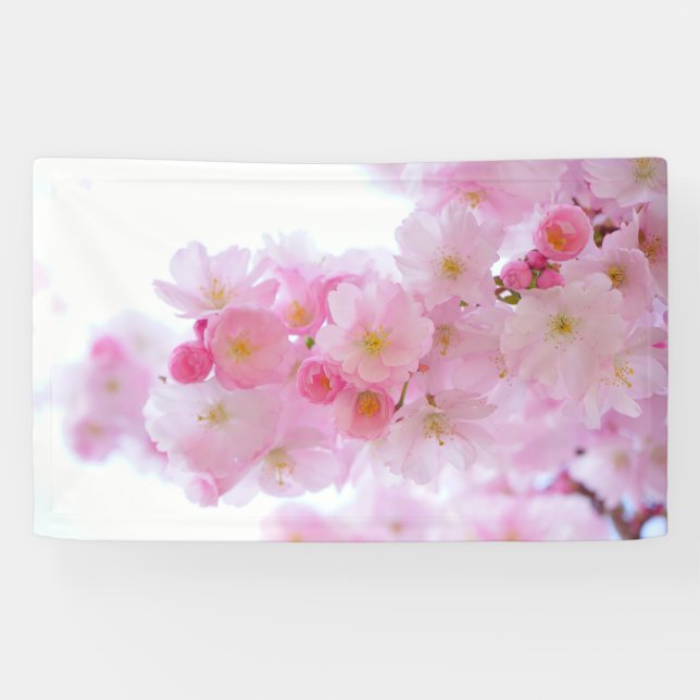 Asia Cherry Tree Blossom Banner (Horizontal)