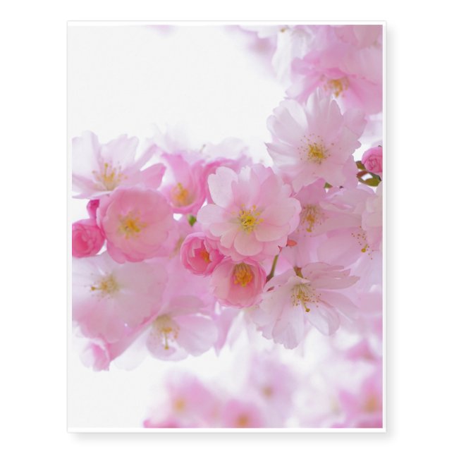 Asia Cherry Tree Blossom Temporary Tattoos (Front)