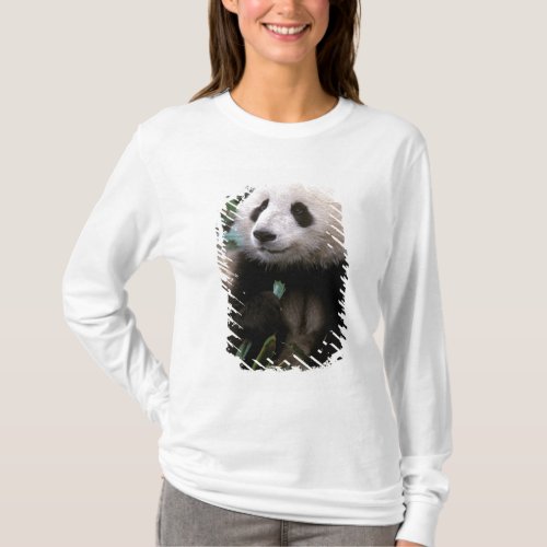 Asia China Chengdu Giant Panda Sanctuary _ T_Shirt