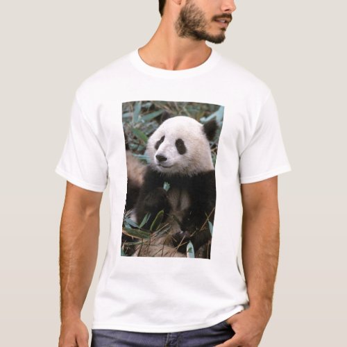 Asia China Chengdu Giant Panda Sanctuary _ T_Shirt