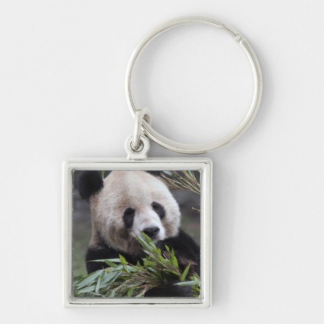 Asia, China Chongqing. Giant Panda Keychain (Front)