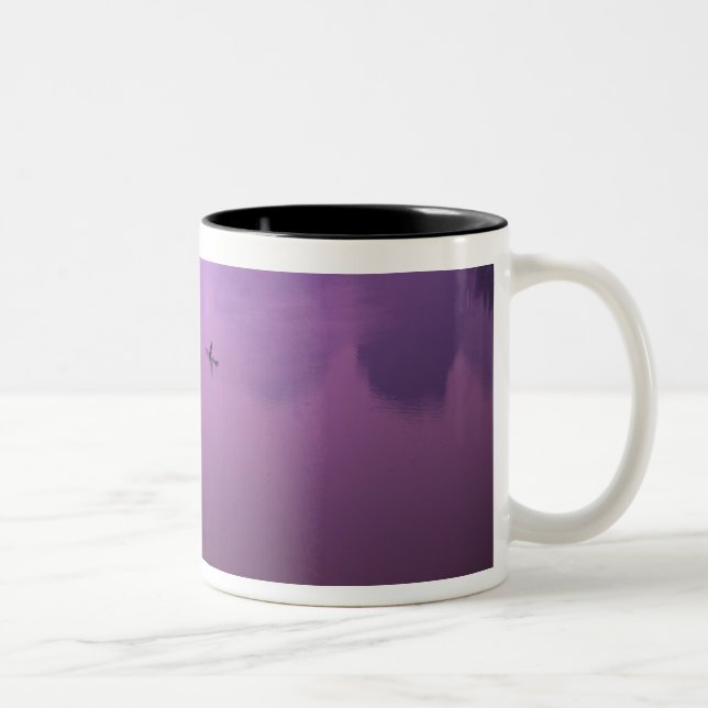 Asia, China, Guanxi, Yangshou. Fishermen on raft Two-Tone Coffee Mug (Right)
