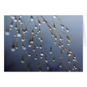 Asia, China | Huansan, Dewdrops (Front Horizontal)