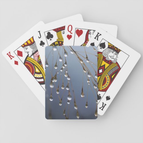 Asia China  Huansan Dewdrops Poker Cards