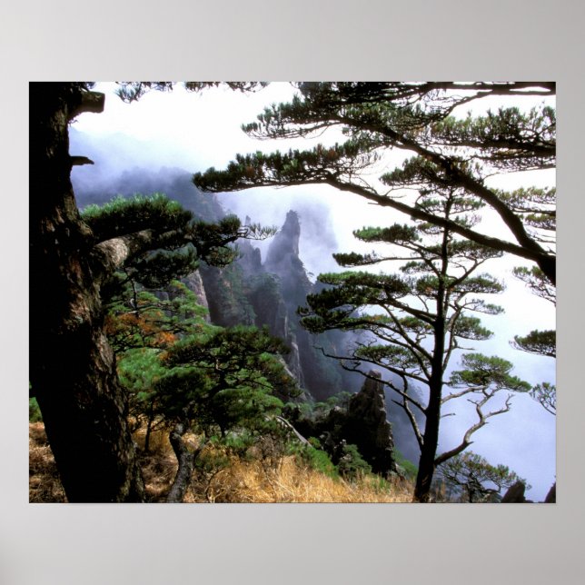 Asia, China, Huanshan. The yellow mountain Poster (Front)