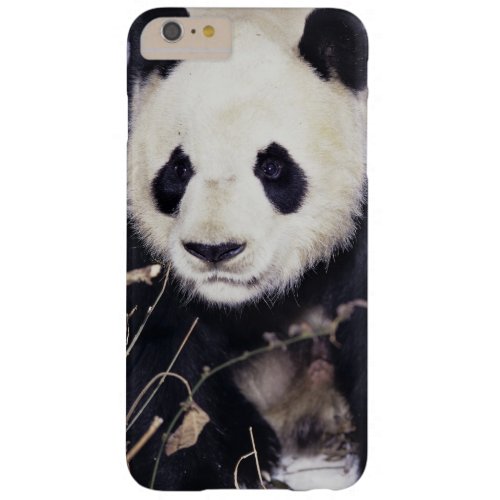 Asia China Sichuan Province Giant Panda in 2 Barely There iPhone 6 Plus Case