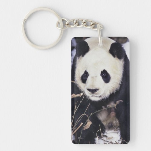 Asia China Sichuan Province Giant Panda in 2 Keychain