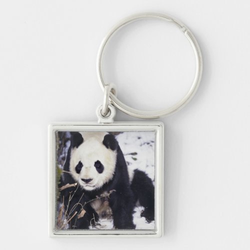 Asia China Sichuan Province Giant Panda in 2 Keychain