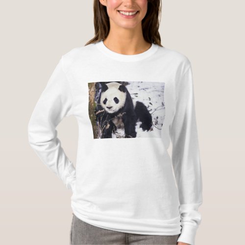 Asia China Sichuan Province Giant Panda in 2 T_Shirt
