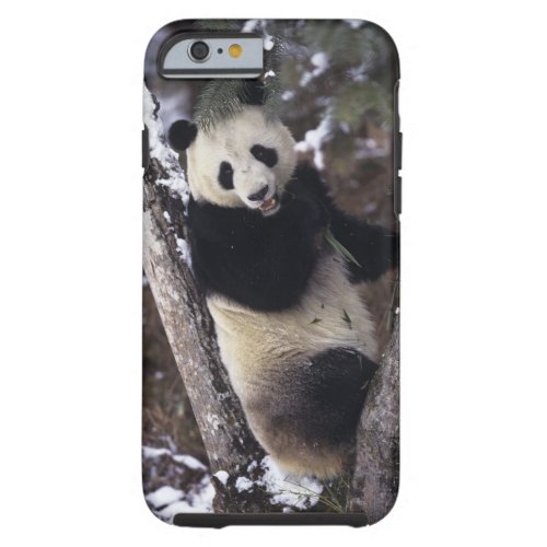 Asia China Sichuan Province Giant Panda up a Tough iPhone 6 Case