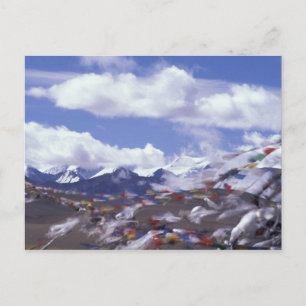 Asia, China, Tibet, Tangla Pass. Prayer flags Postcard