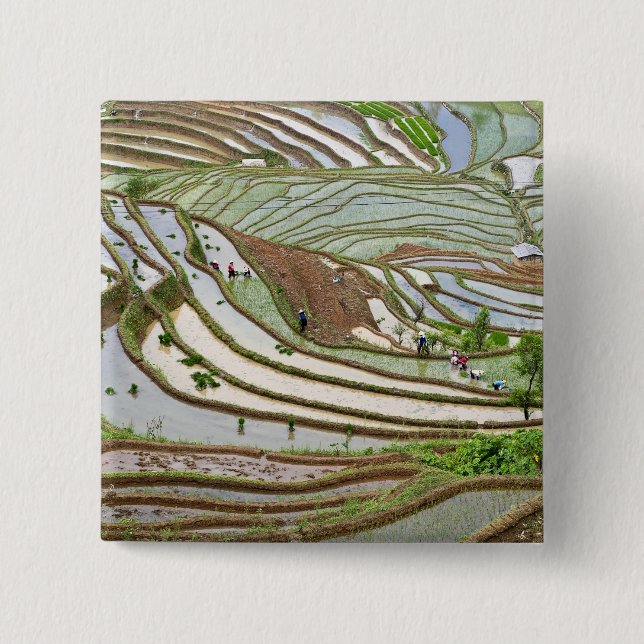 Asia, China, Yunnan, Jinping. Native Yi people Button (Front)