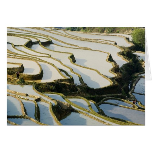 Asia, China, Yunnan Province, Yuanyang County. (Front Horizontal)
