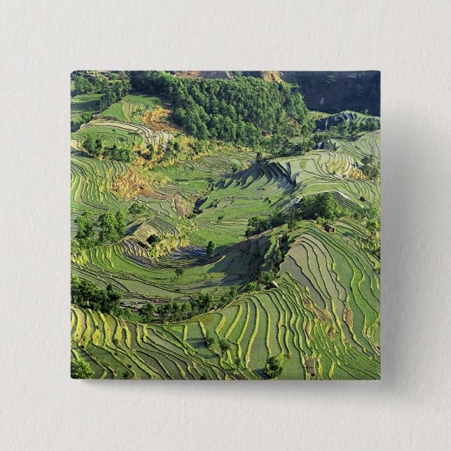 Asia, China, Yunnan, Yuanyang. Pattern of green Pinback Button (Front)