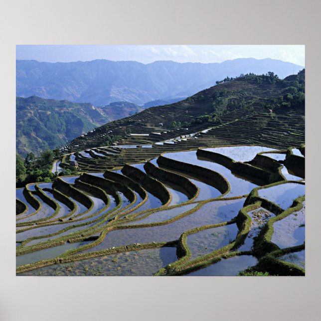 Asia, China, Yunnan, Yuanyang. Rugged Poster (Front)