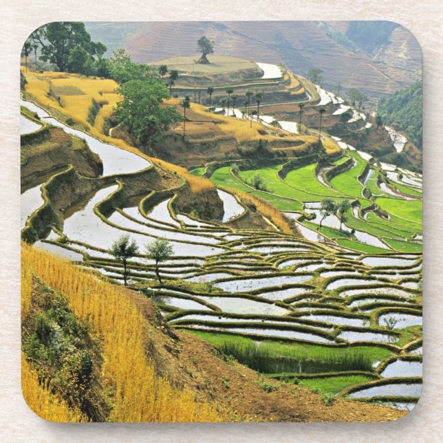 Asia, China, Yunnan, Yuxi Prefecture; Yuanjiang. Beverage Coaster (Front)