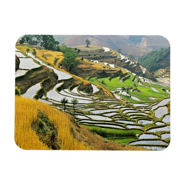 Asia, China, Yunnan, Yuxi Prefecture; Yuanjiang. Magnet (Horizontal)