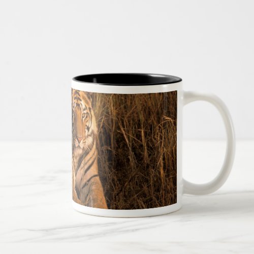 Asia India Bandhavgarh National Park Tiger Two_Tone Coffee Mug