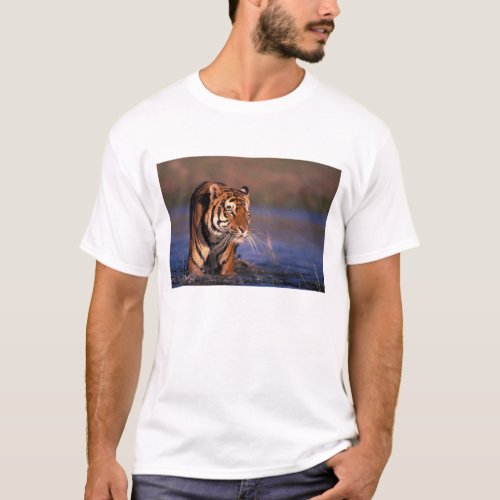 Asia India Bengal tiger Panthera tigris T_Shirt