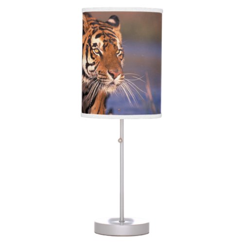 Asia India Bengal tiger Panthera tigris Table Lamp