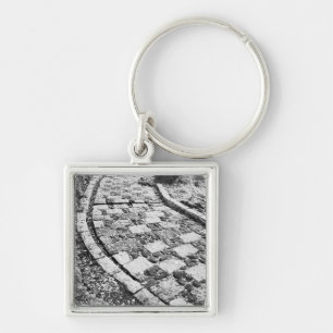 Asia, Japan, Hakone. Walkway by Lake Ashinoko Keychain