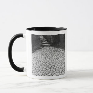 Asia, Japan, Hiroshima. Detail of Shukkei, en Mug