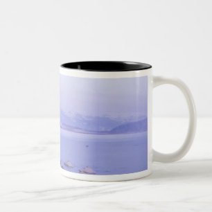 Asia, Japan, Hokkaido, Akan NP, Whopper Swans Two-Tone Coffee Mug