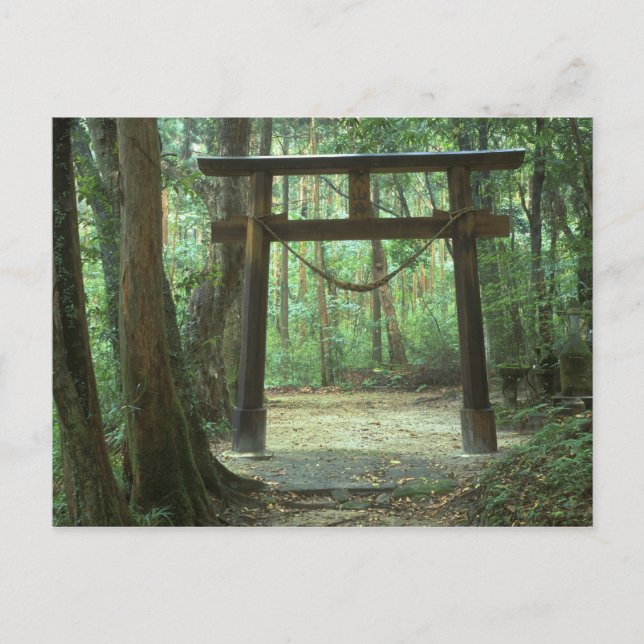 Asia, Japan, Kagoshima, Yakushima, Mountain Postcard (Front)