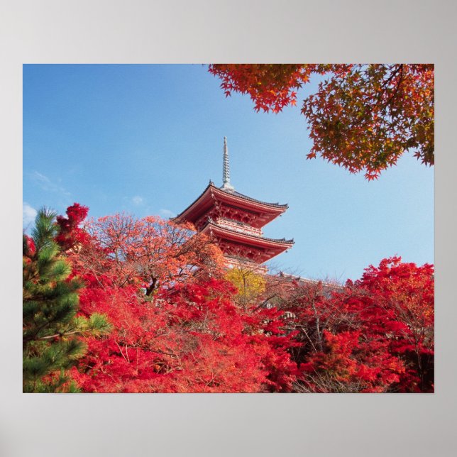 Asia, Japan, Kyoto. Autumn Color Poster (Front)