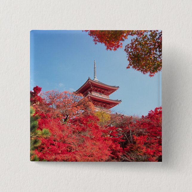 Asia, Japan, Kyoto. Autumn Colour Button (Front)