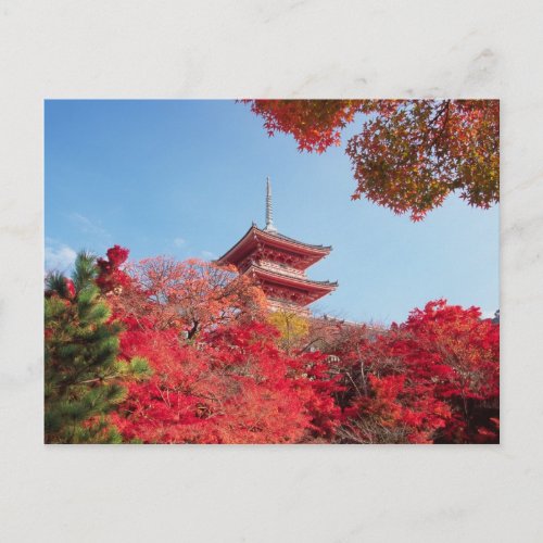 Asia Japan Kyoto Autumn Colour Postcard