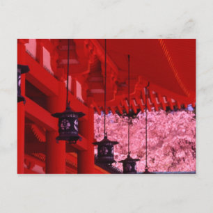 Asia, Japan, Kyoto, Heian shrine in spring. Postcard