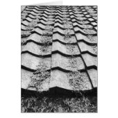 Asia, Japan, Miyajima. Clay roof detail (Front)