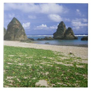 Asia, Japan, Okinawa, Yambaru Coastline, Sea Ceramic Tile