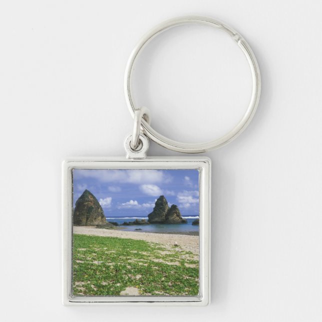 Asia, Japan, Okinawa, Yambaru Coastline, Sea Keychain (Front)