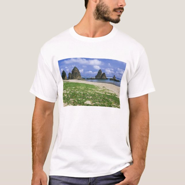 Asia, Japan, Okinawa, Yambaru Coastline, Sea T-Shirt (Front)