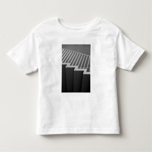 Asia Japan Tokyo Stairs at the Tokyo 2 Toddler T_shirt