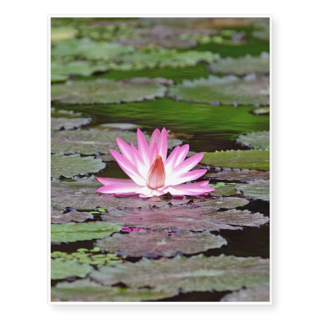 Asia Lotus Flower Temporary Tattoos (Front)