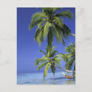 Asia, Maldive Islands. Man in hammock on Postcard