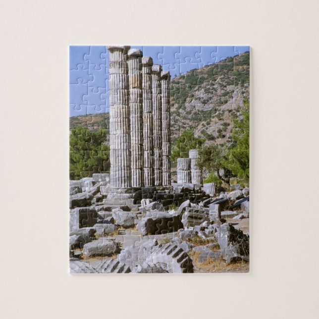 Asia, Middle East, Turkey, Ephesus. Temple of Jigsaw Puzzle (Vertical)