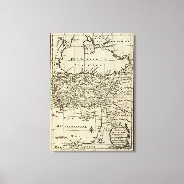 Asia Minor 2 Canvas Print (Front)