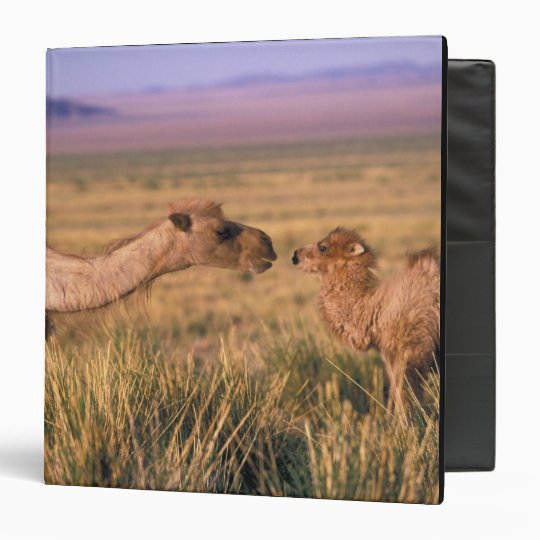 Asia, Mongolia, Gobi Desert, Great Gobi Binder