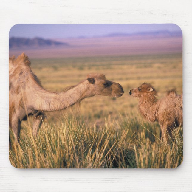 Asia, Mongolia, Gobi Desert, Great Gobi Mouse Pad (Front)