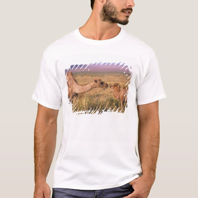Asia, Mongolia, Gobi Desert, Great Gobi T-Shirt (Front)