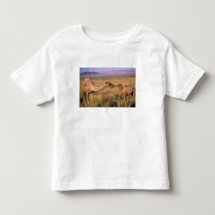 Asia, Mongolia, Gobi Desert, Great Gobi Toddler T-shirt