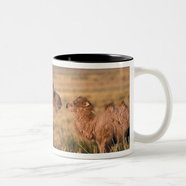 Asia, Mongolia, Gobi Desert, Great Gobi Two-Tone Coffee Mug (Right)