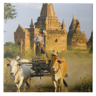Asia, Myanmar (Burma), Bagan (Pagan). A cart is Ceramic Tile